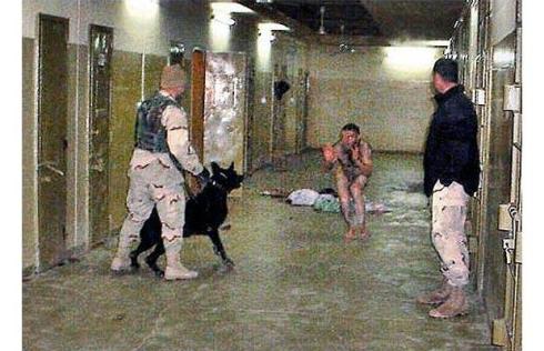 فلم ممنوع من العرض War-in-iraq-dog-ab_1404117i